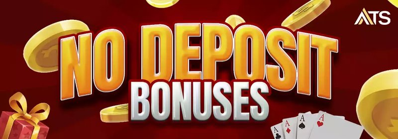 Un aperçu de no deposit bonus casino 2025