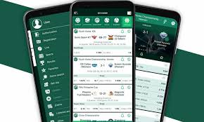 Discover the World of BetWinner The Ultimate Online Betting Experience
