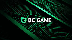 Exploring the Features and Functions of the BC App Your Ultimate Guide
